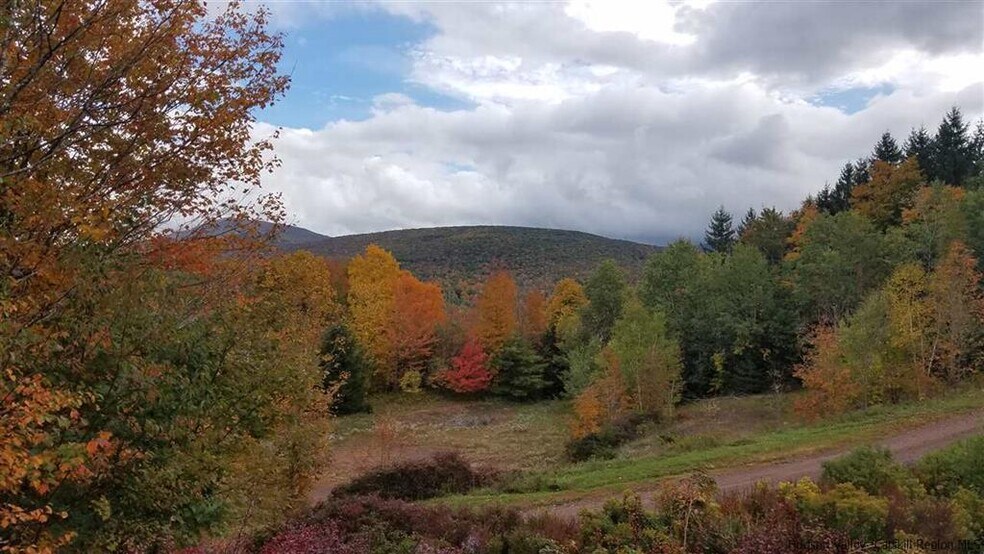 More Photos Of 218 NY-296, Windham Hotel For Sale