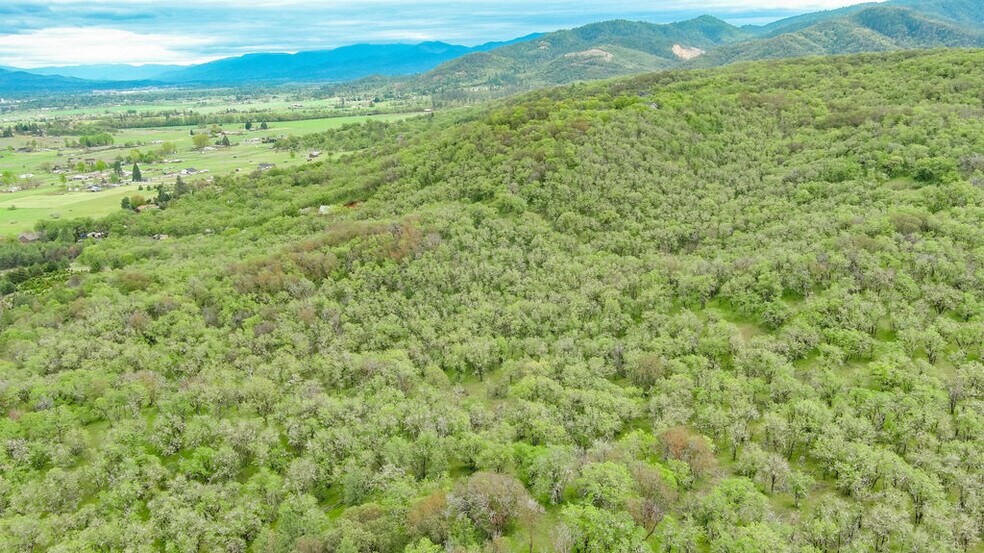 More Photos Of 8785 Blackwell Rd, Central Point Land For Sale