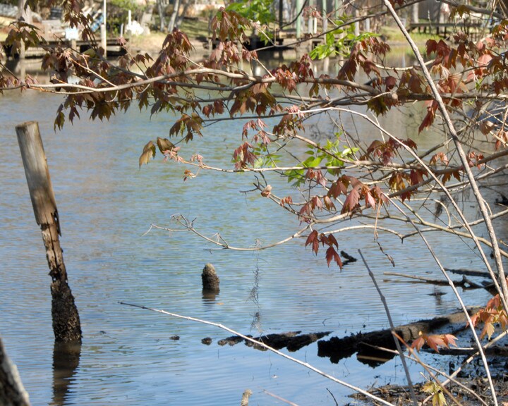 More Photos Of 8810 Goodbys Executive Dr, Jacksonville Medical For Sale