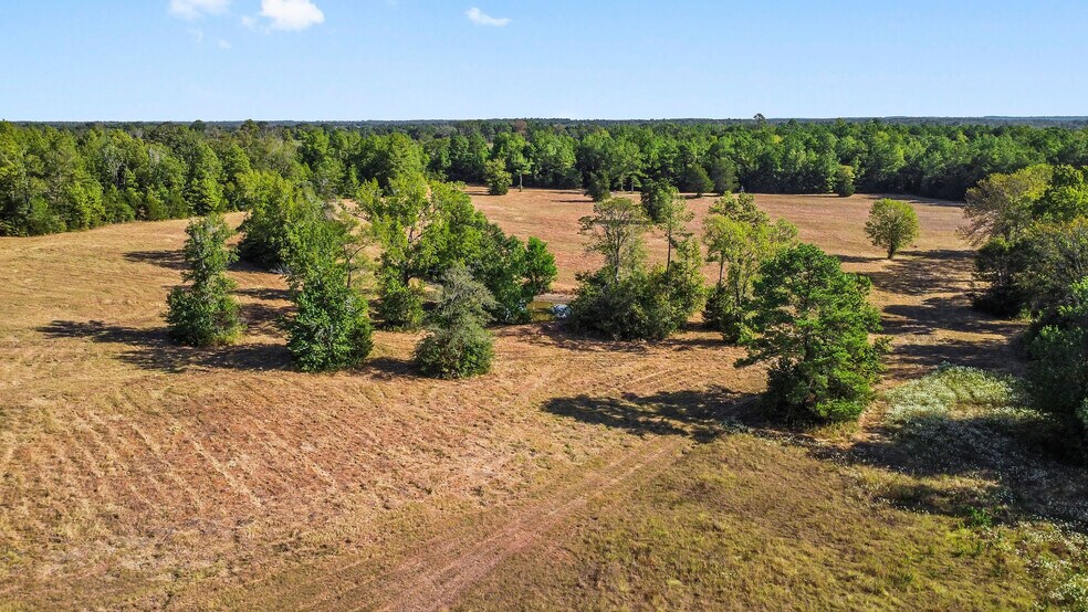 More Photos Of 15863 Rogers, Willis Land For Sale
