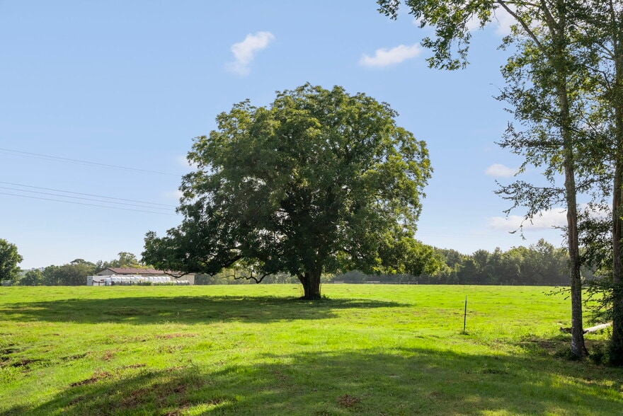 More Photos Of 18121 TX-105, Plantersville Land For Sale