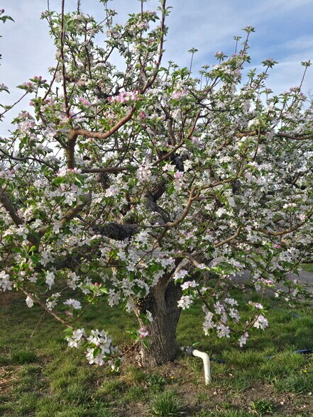 More Photos Of 3526 Front St, Palisade Specialty For Sale