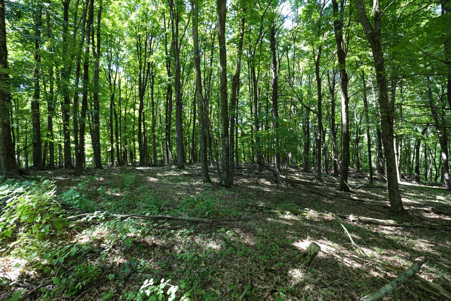 More Photos Of 458 Lucas Ave, Kingston Land For Sale