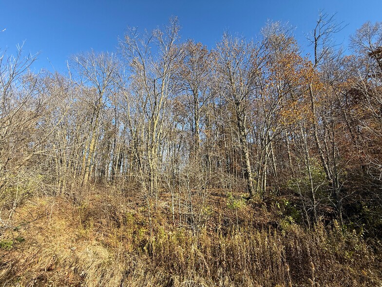 More Photos Of 4305 PLEASANT CENTER Rd, Yoder Land For Sale