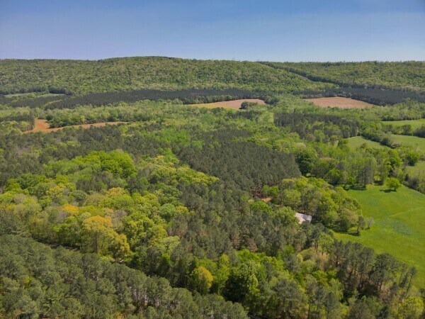 Primary Photo Of 0 S Sauty Rd, Langston Land For Sale