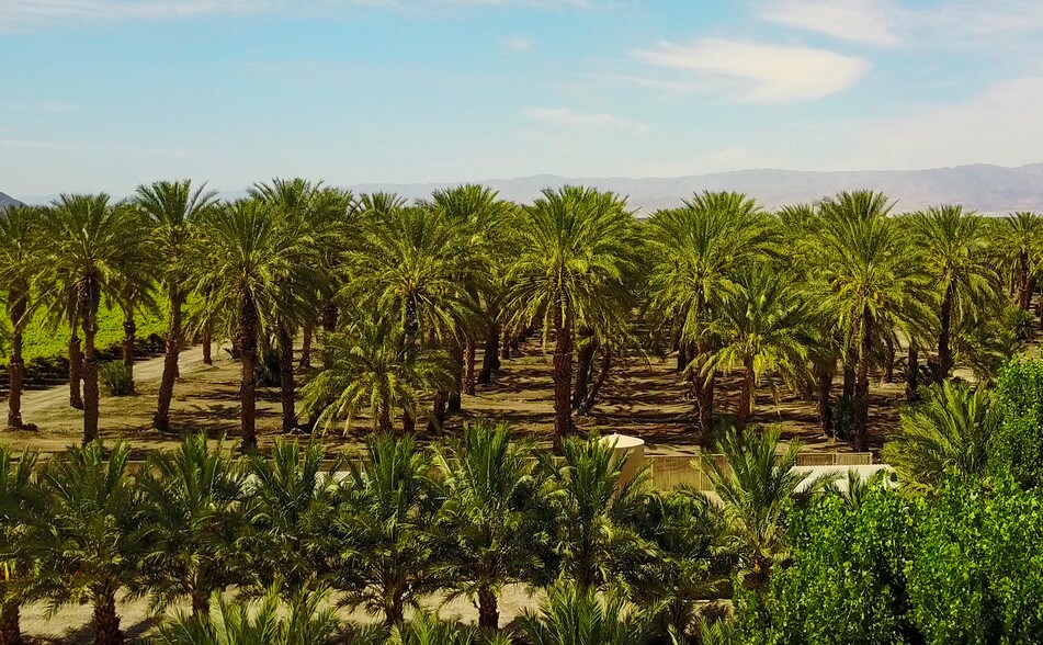 More Photos Of 81755 62nd Ave, Thermal Land For Sale