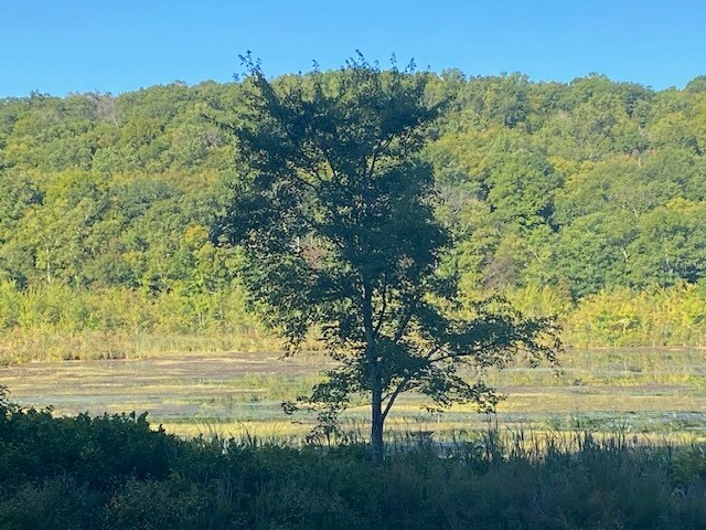 More Photos Of 152 Lily Lake Rd, Highland Land For Sale