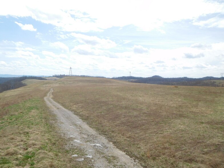 Guston Rd, Cassville, WV 26501 Land For Sale