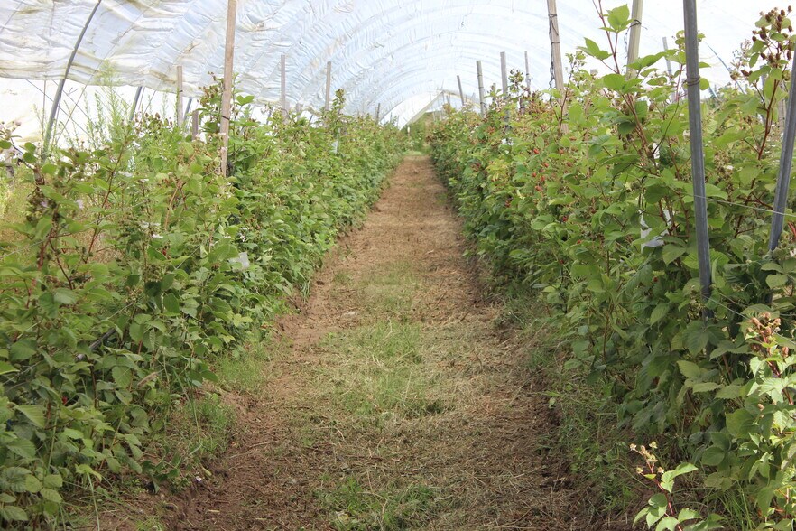 More Photos Of 16475 Blackie Rd, Salinas Land For Sale