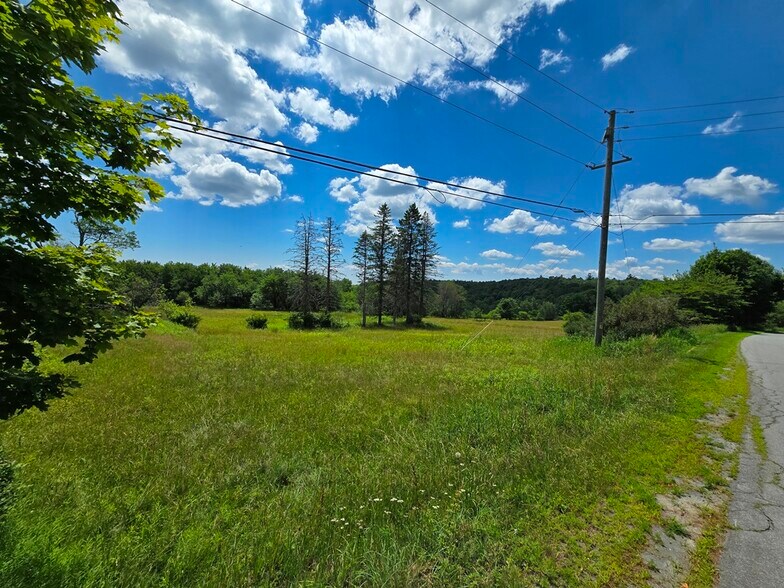 More Photos Of 40 Sparten Hill Rd, Livingston Manor Specialty For Sale