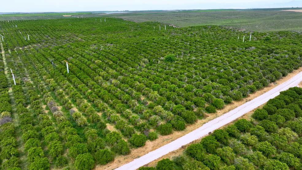 Primary Photo Of Whisler Rd, Mc Farland Land For Sale