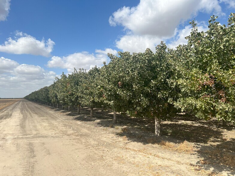 More Photos Of +/-154 Acre Pistachio Orchard - Idaho ave, Hanford Land For Sale