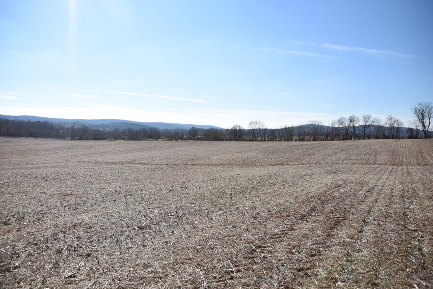 More Photos Of 4572 Old Tavern Rd, The Plains Land For Sale