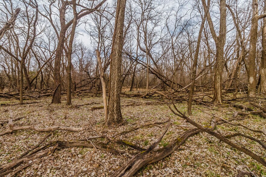 More Photos Of 79+/- Acres on 272nd Rd. Rd @ 41st Rd, Arkansas City Land For Sale