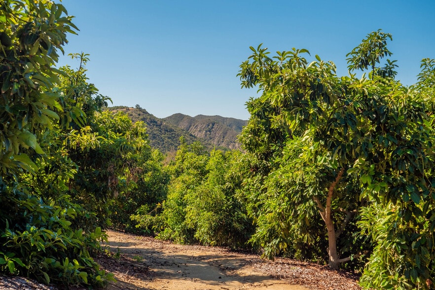 More Photos Of 15-16 Camaron Rd, Temecula Land For Sale