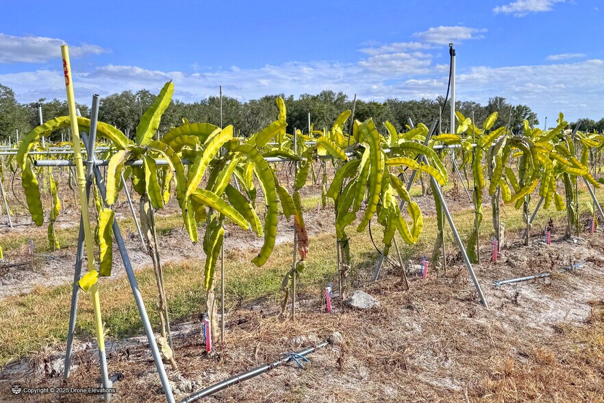 More Photos Of 6018 NW County Road 661A, Arcadia Land For Sale