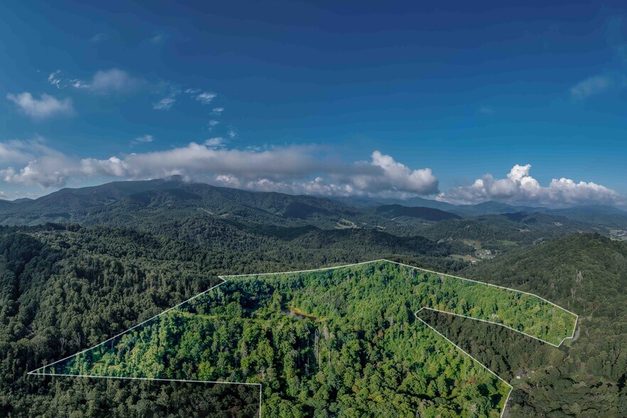 More Photos Of 306 Bear Branch rd, Roan Mountain Land For Sale