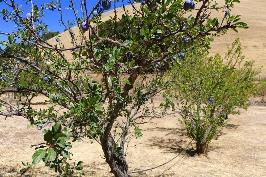 More Photos Of 32800 Johnson Canyon Rd, Gonzales Land For Sale