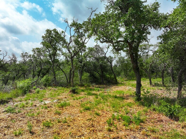 More Photos Of 704 South Highway 35 Byp, Rockport Land For Sale