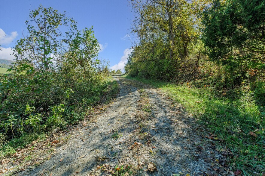 More Photos Of 000 Lee Hwy, Troutville Land For Sale