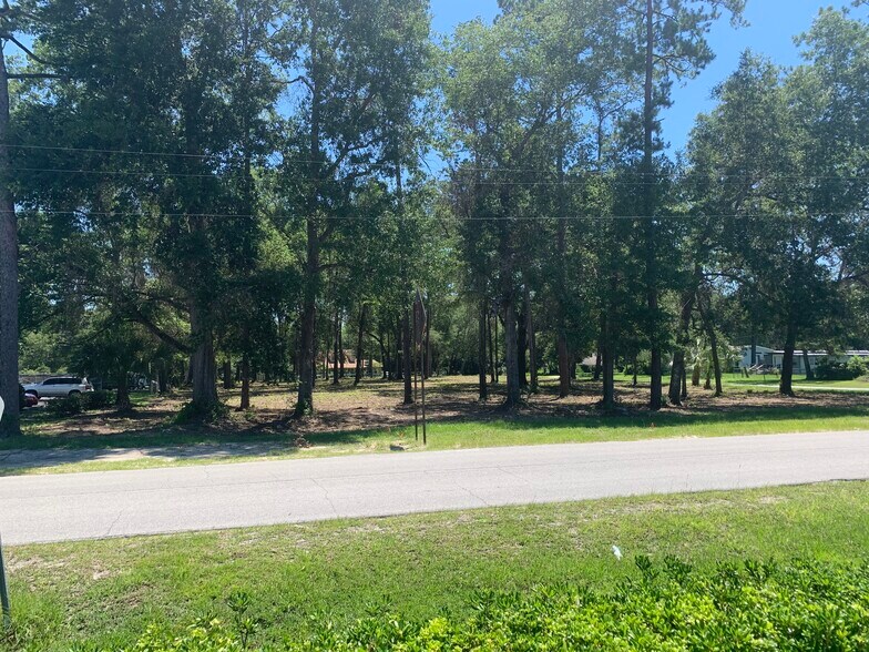 More Photos Of 3888 Palmetto St, Middleburg Land For Sale