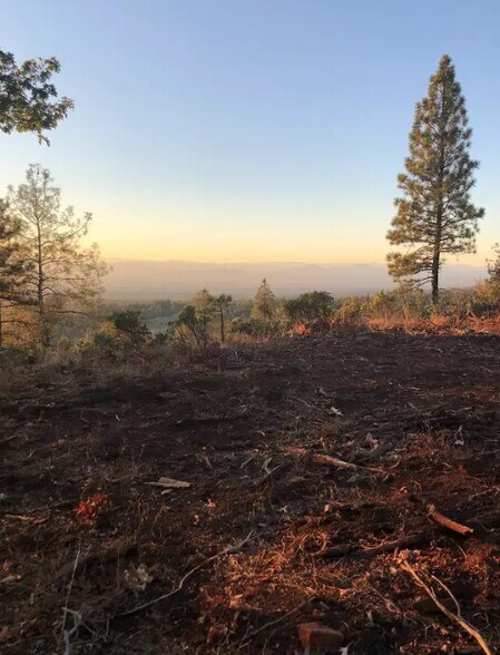 More Photos Of 1989 Tract Shingletown Ridge Rd, Shingletown Land For Sale