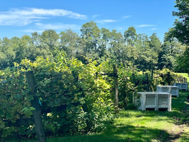 More Photos Of 6825 Old Richmond Rd, Lexington Winery Vineyard For Sale