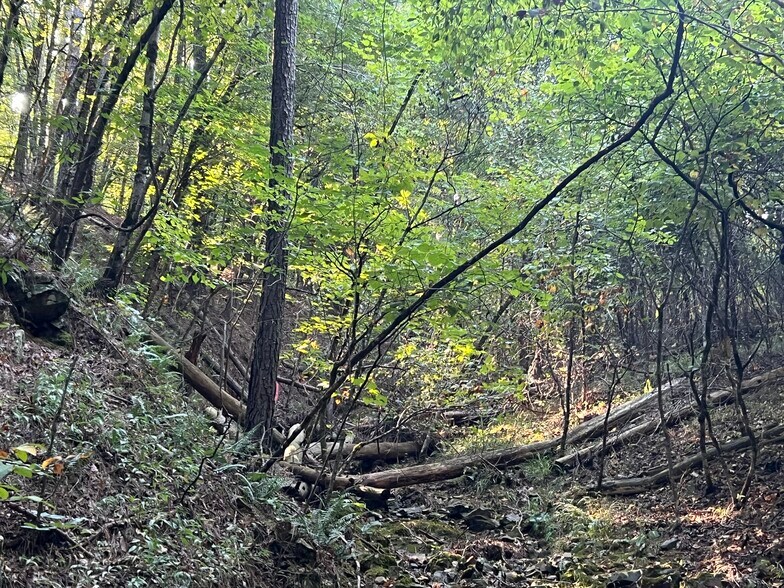 More Photos Of 92 Lillian Strong rd, Carlton Land For Sale