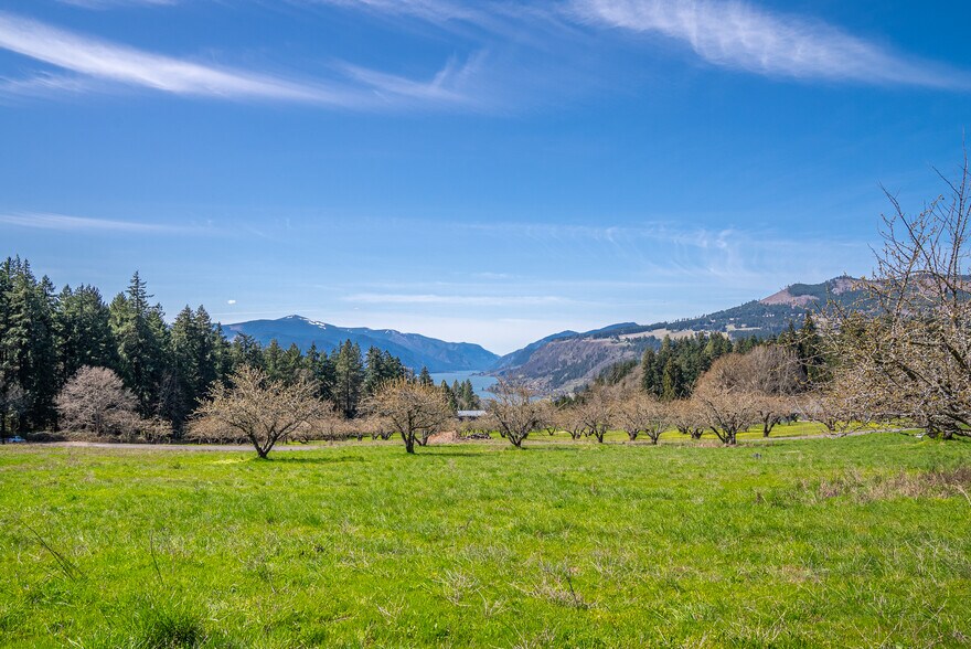 More Photos Of SW Cherry Blossom Lane @ Eyrie, White Salmon Land For Sale