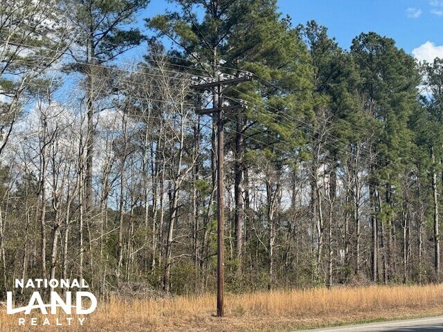 More Photos Of Hwy 421 S. Malpass Corner, Burgaw Land For Sale