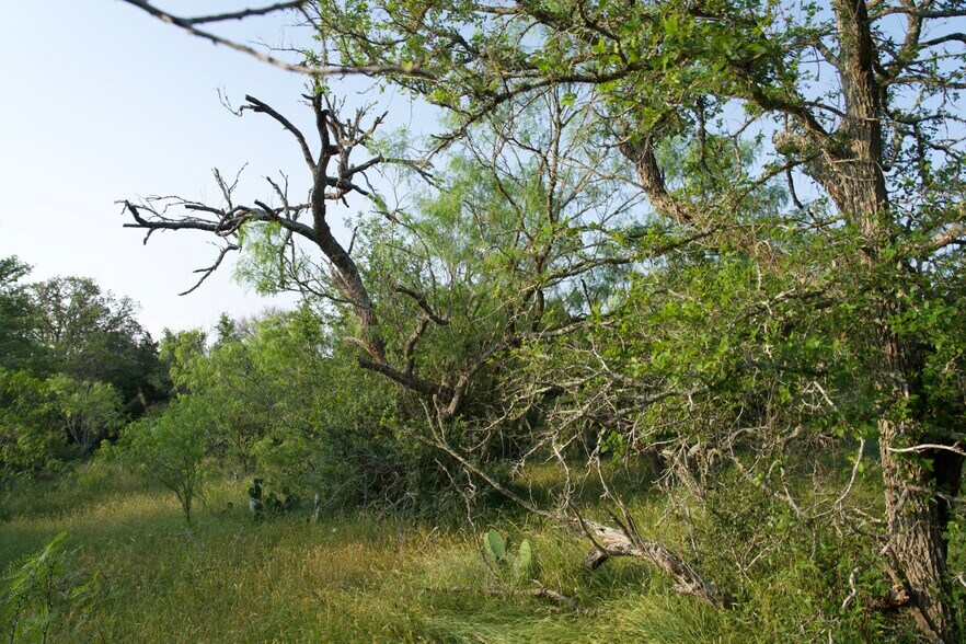 More Photos Of 00 Taylorsville Rd, Red Rock Land For Sale