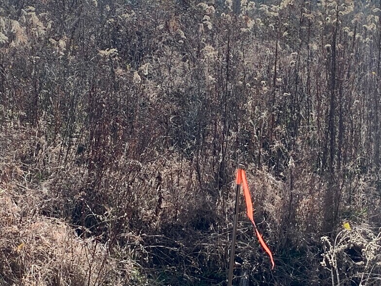 More Photos Of Interstate 20, Lindale Land For Sale