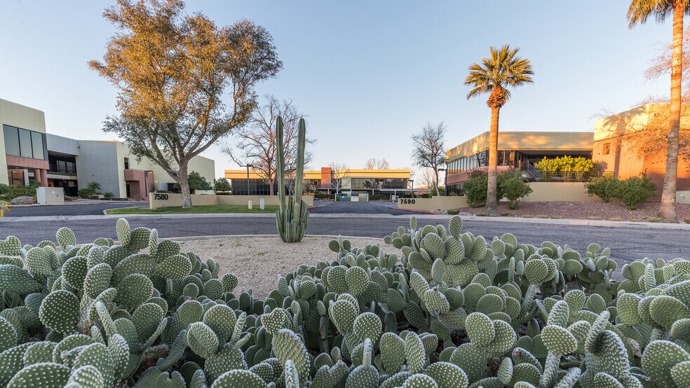 More Photos Of 7585-7595 E Redfield Rd, Scottsdale Unknown For Lease