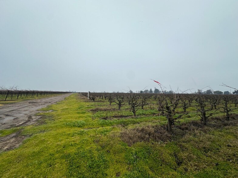 More Photos Of 17600 Devries rd, Lodi Land For Sale