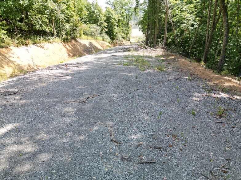 More Photos Of 405 Checks Rd, Summersville Land For Sale