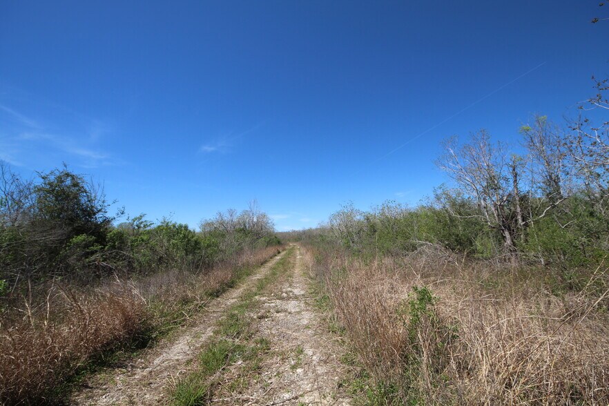 More Photos Of Hwy 288 hwy, Rosharon Land For Sale