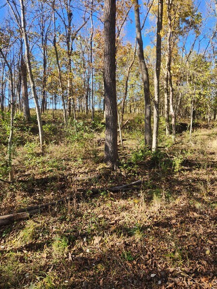 More Photos Of County Road 197 (5+/- Acres) Tract 3, Williamsburg Land For Sale