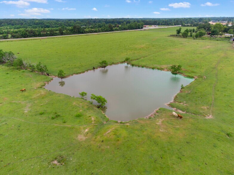 More Photos Of 14630 Hwy 105, Cleveland Land For Sale