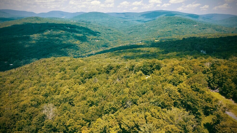 More Photos Of Galli Curci Road @ New York State Route 28, Highmount Land For Sale