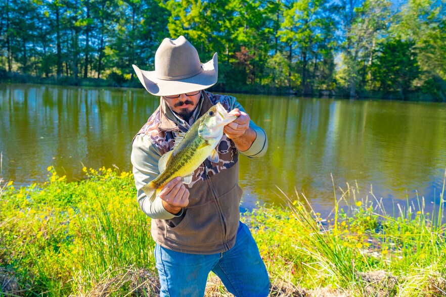 More Photos Of 391 Farm to Market 1519, Scroggins Land For Sale