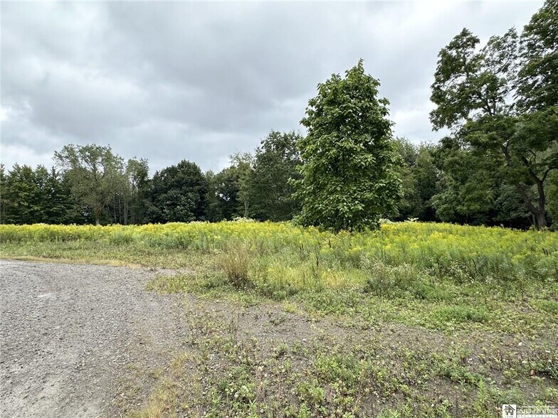 More Photos Of 3328 Hadley Bay (Rt 394) Rd, Ashville Restaurant For Sale