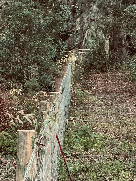 More Photos Of 1676 Hermosa Dr, Palm Harbor Land For Sale