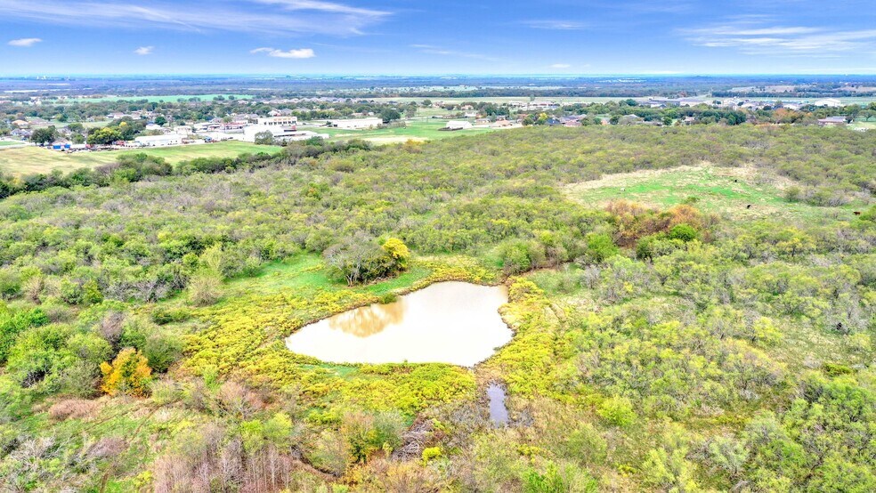 More Photos Of TBD E FM 121, Gunter Land For Sale