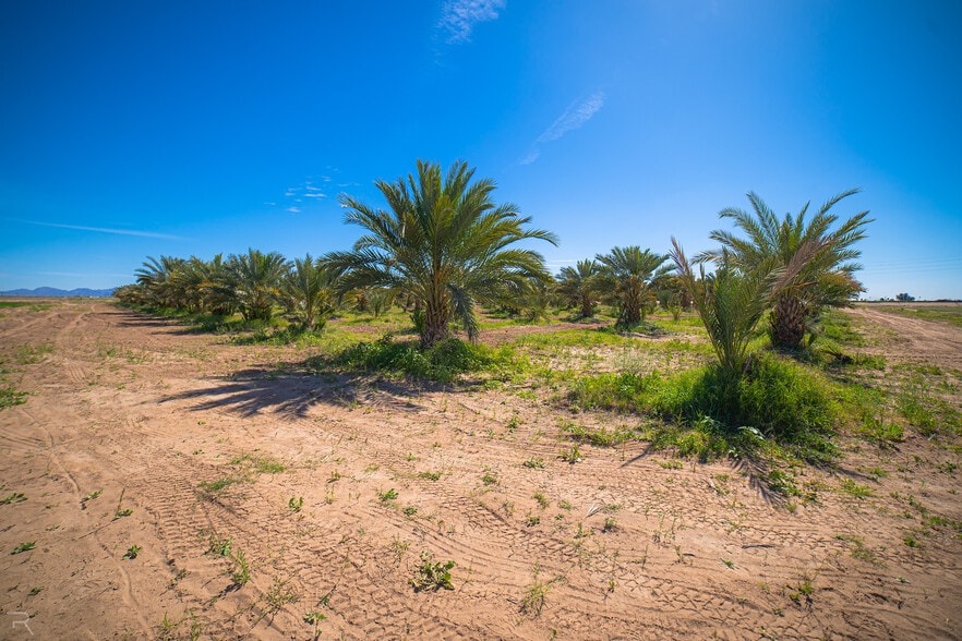 More Photos Of 17587 S Ave 3 1/2 E, Yuma Land For Sale