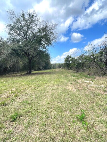 Primary Photo Of 16982 SE Highway 42, Weirsdale Land For Sale