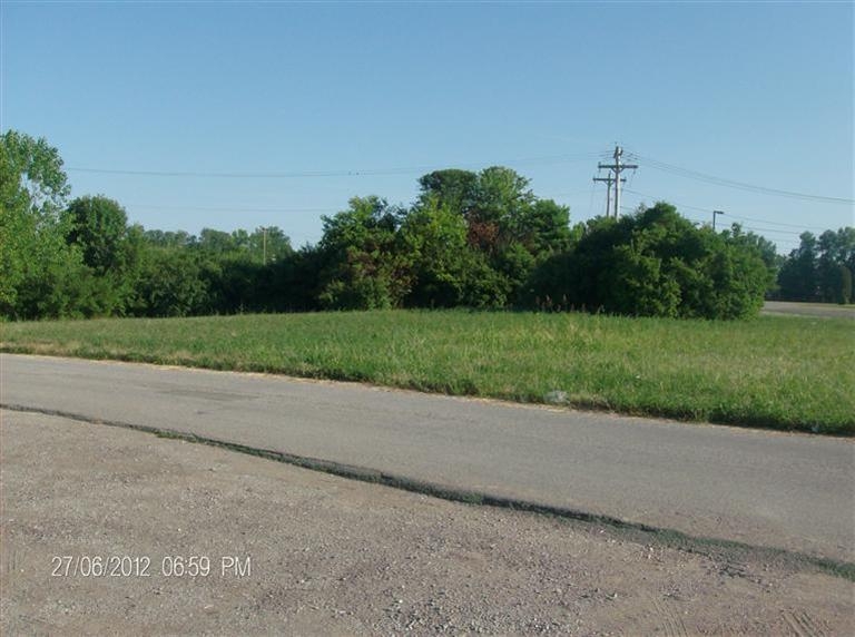 Primary Photo Of 0 State Route 232, Bethel Land For Sale