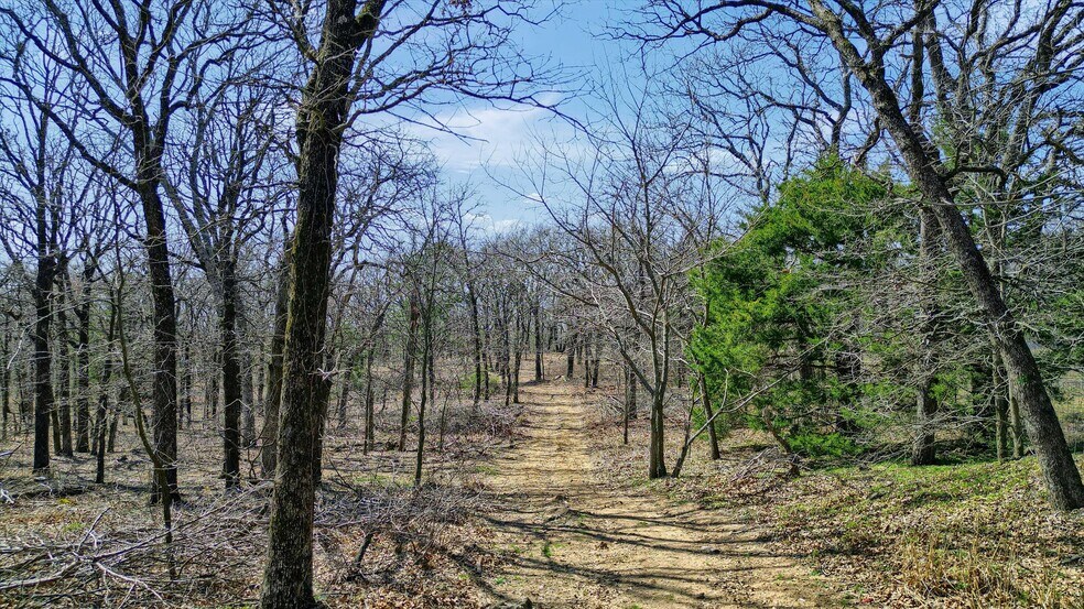 More Photos Of 278 Neely Trl, Gainesville Land For Sale