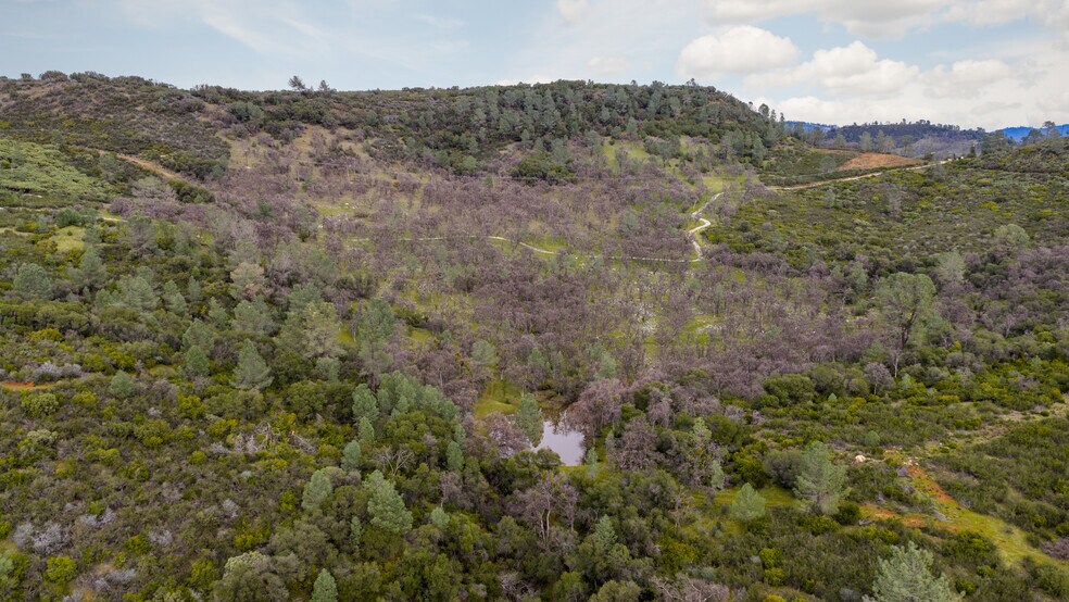 More Photos Of Skunk Gulch Rd, Vallecito Land For Sale
