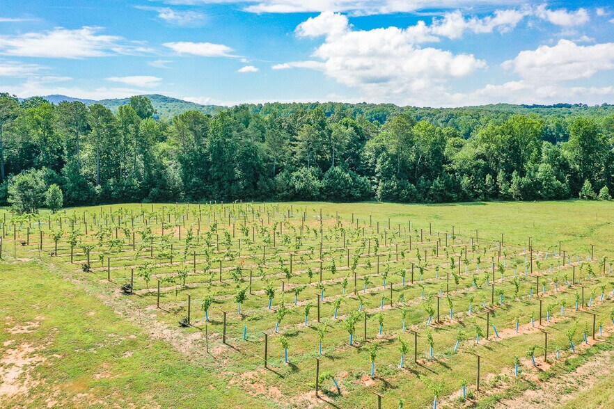 More Photos Of 119 Inland Dr, Talking Rock Winery Vineyard For Sale