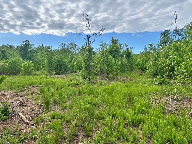 Primary Photo Of Satcher Road #4 Rd, Taylorsville Land For Sale